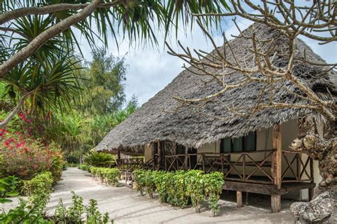 hakuna majiwe beach lodge|hakuna majiwe zanzibar.